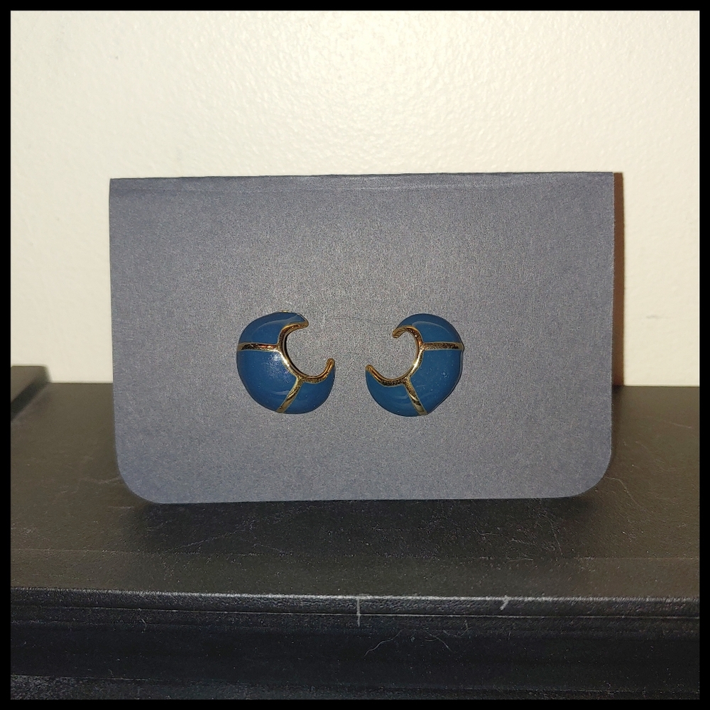 Blue Enamel and Gold Tone Hoop Style Post Earrings